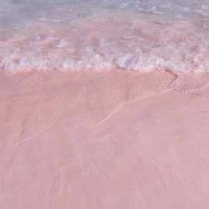 Sm女王圣水黄金视频
