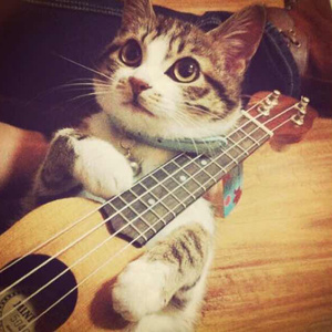 Sm女王圣水黄金视频
